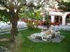 Mediterranee Hotel 